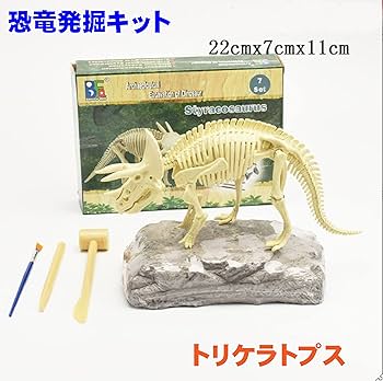 恐竜化石博物館 5体セット 模型 おもちゃ 恐竜化石博物館 5体セット 模型 おもちゃ